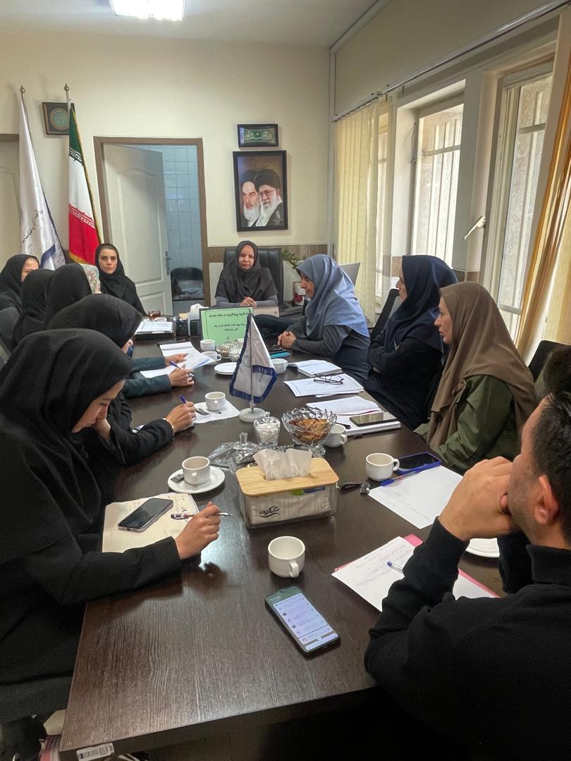 برگزاری کارگروه پیشگیری از سقط عمدی در ستاد مرکز بهداشت شمال غرب یک 